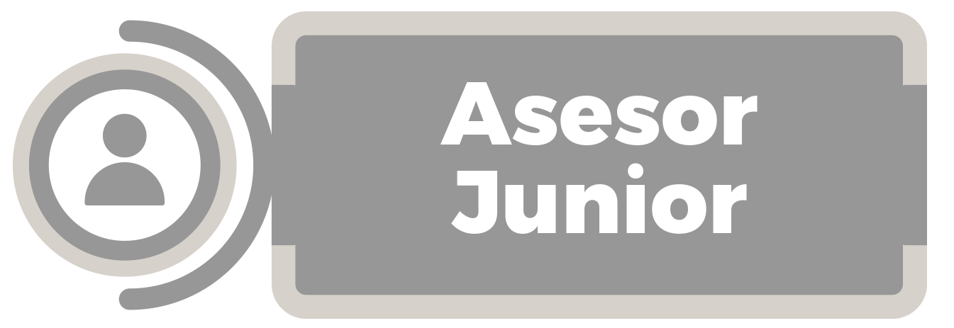 Asesor Junior